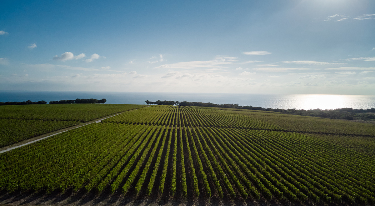Фото: chateaudetalu.ru