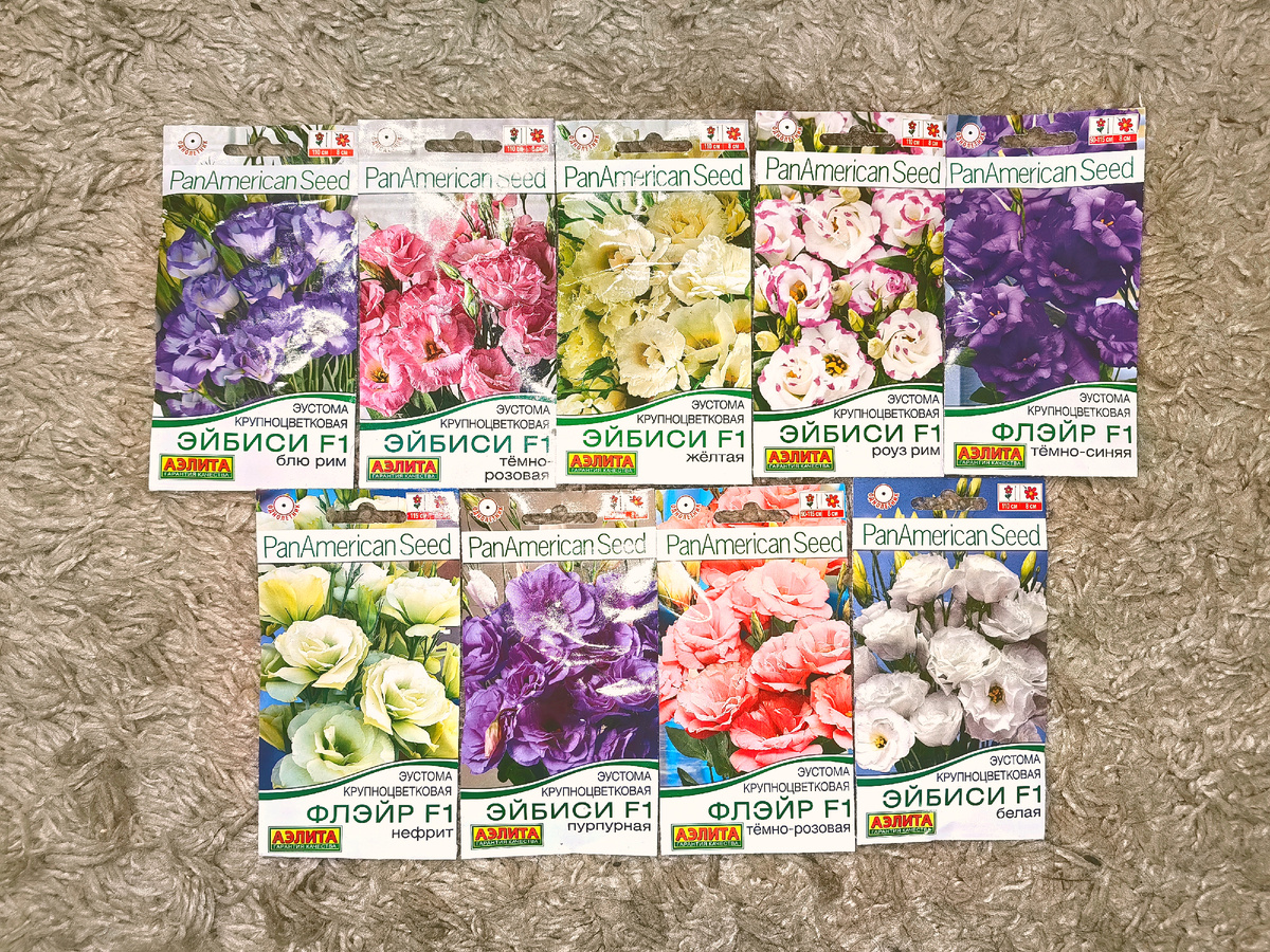 Вот эти сорта все погибли, кроме темно-синей Флэйр... Жалко и обидно до слёз! 