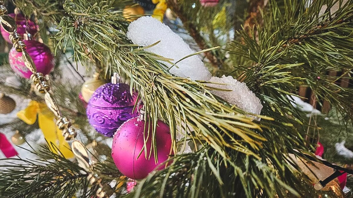     Источник: 1MI