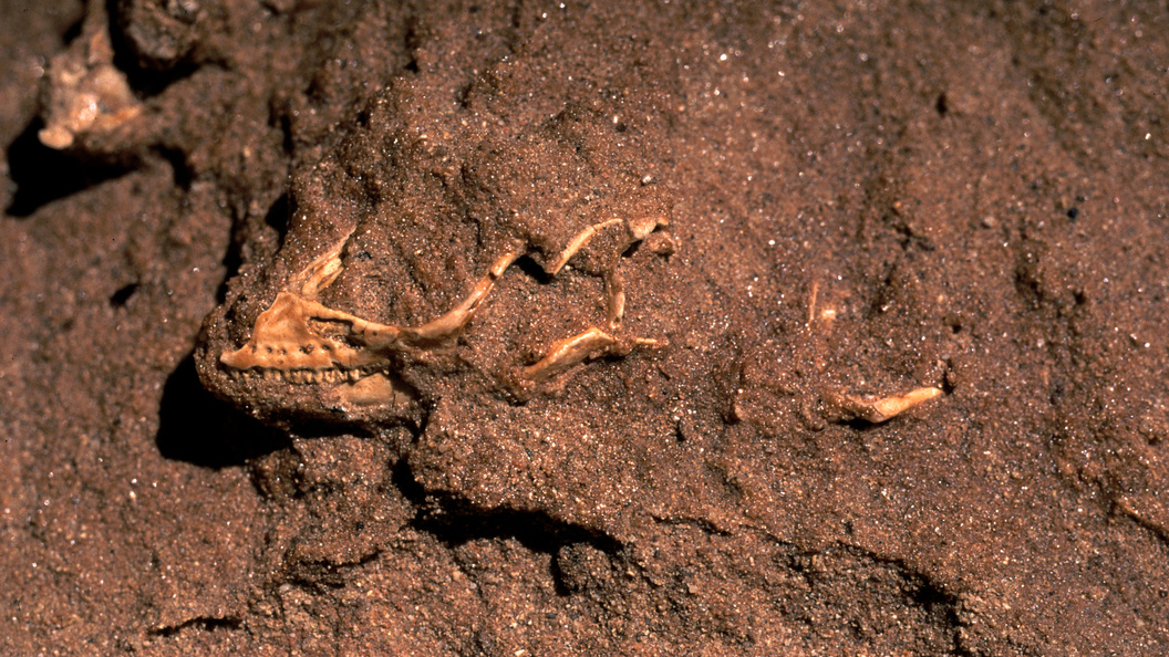    Konstantin Mikhailov/Russian Look/Global Look Press