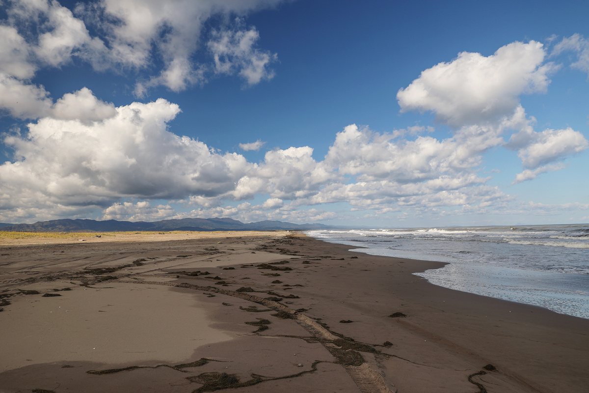 Широкий песчаный пляж за поселком Стародубское. Фото автора