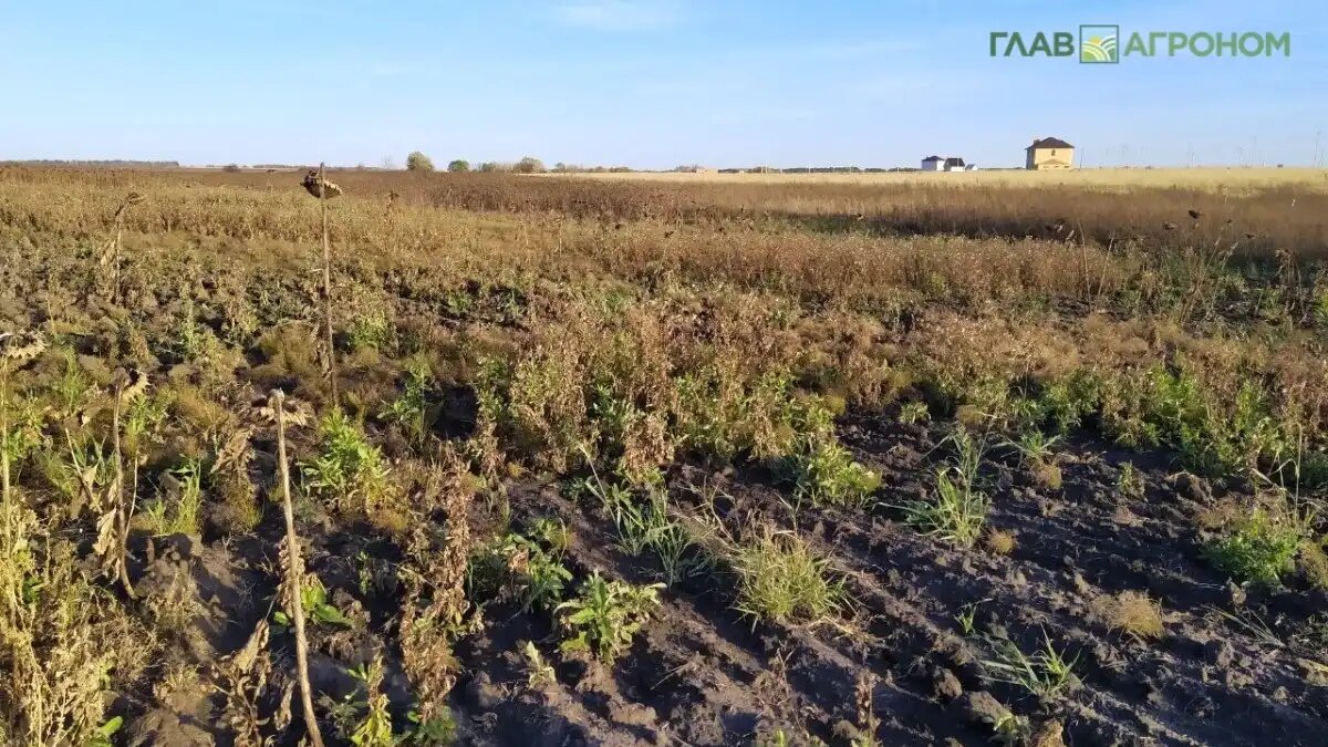 Фото:© Артем Борисов / Glavagronom.ru Глеб Никитин предложил предоставить залежные земли иностранным фермерам