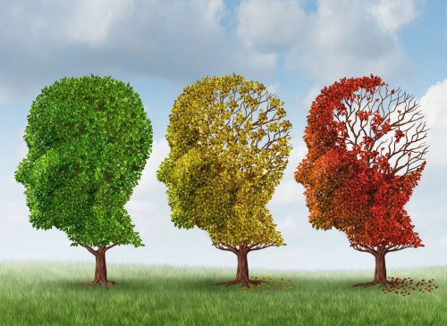 По мнению исследователей, остеопороз и деменция прямо взаимосвязаны