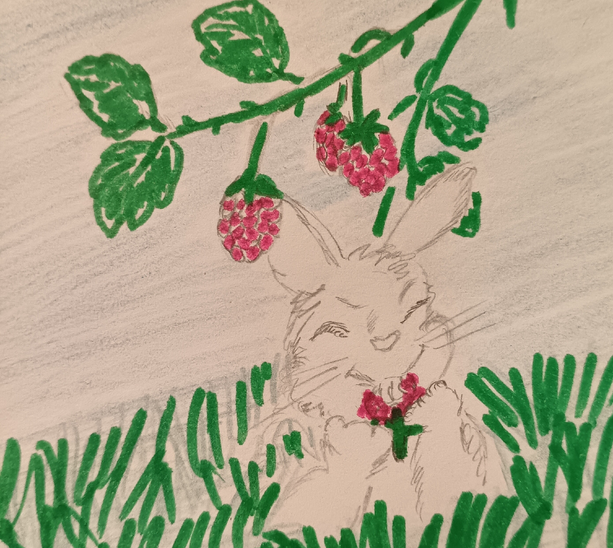 Сидел кролик в кустах,  ягодами лакомился.  Вдруг видит:бежит койот.  Кролик скорее-скорее прочь. Койот за ним. Кролик в нору.  Койоту в нору не влезть. Сунул он в нору лапу,  стал разрывать. А нора не глубокая. Вот -вот до кролика койот доберется. 