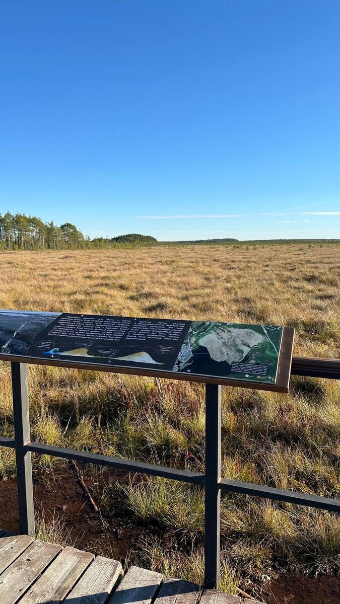 сестрорецкое болото