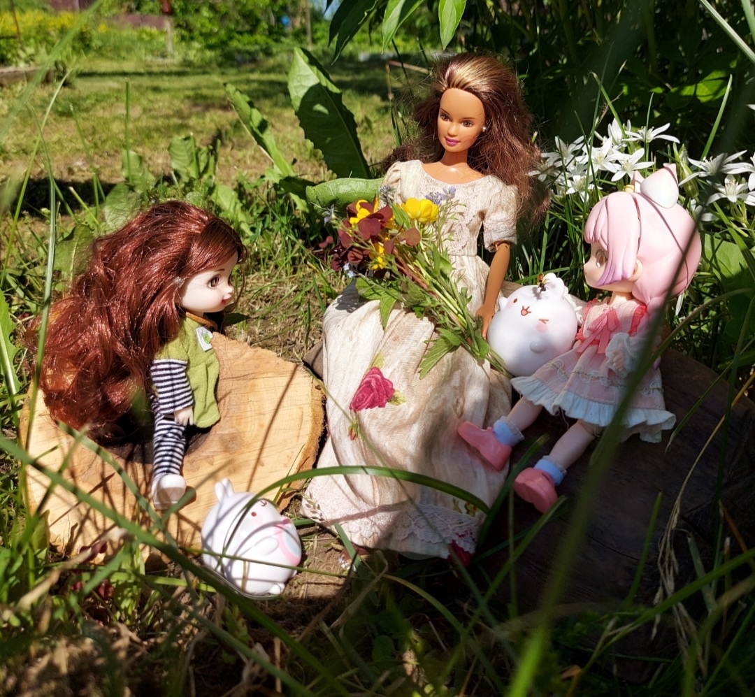 Тереза, девочки, моланги...