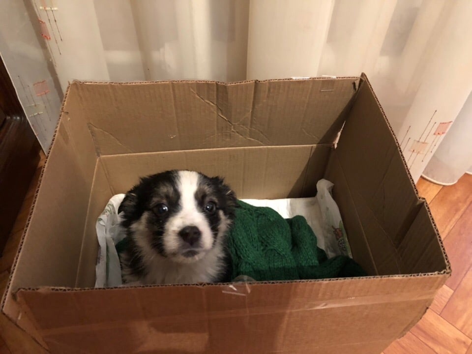 Маленькая Гера