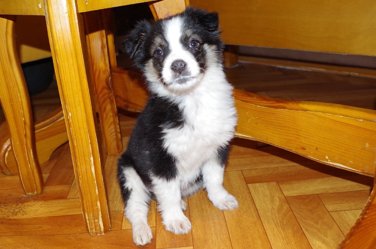 Маленькая Гера