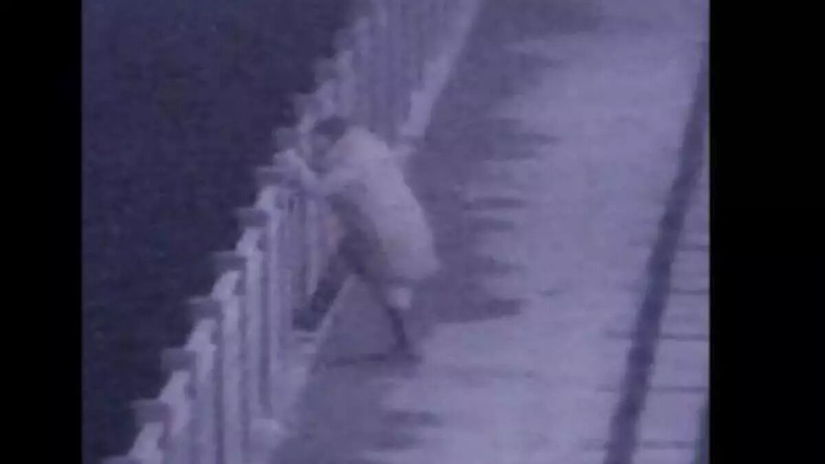     Источник: тг Че по Ростову