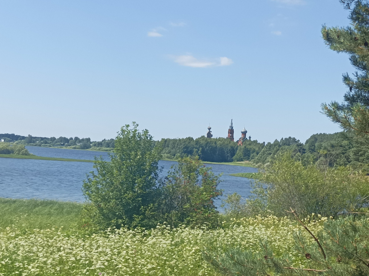 Вдалеке уже виднеются купола и колокольня двух церквей Рождества Иоанна Предтечи на Ширковом Погосте, - каменной (справа) и деревянной (слева).