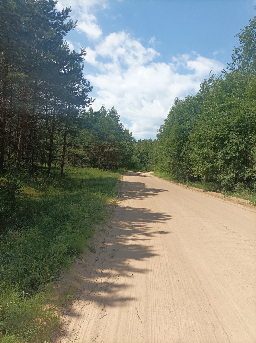 Дорога до Ширкова Погоста.