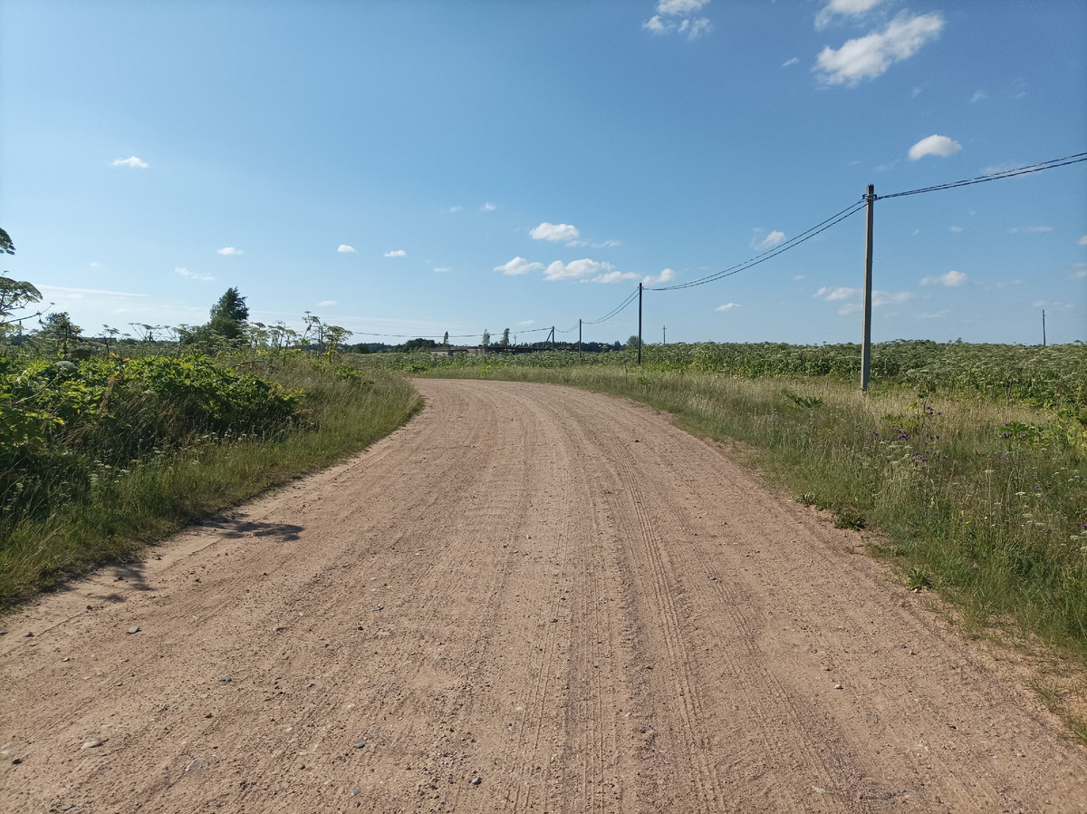 Местами вдоль грейдера было большое количество борщевика, который напоминал мне родные дороги Ленинградской и Новгородской областей.