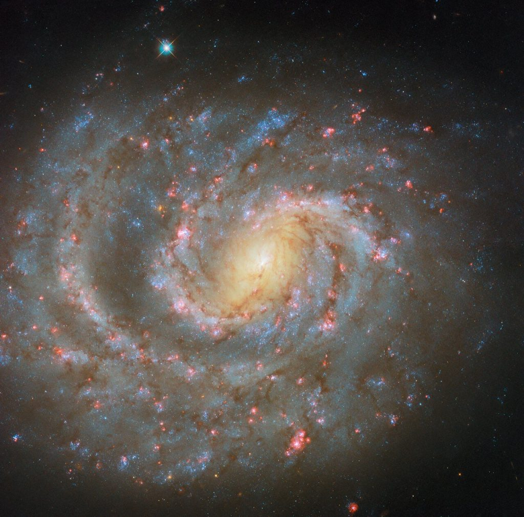 Галактика NGC 1637 (фото Hubble). Источник: ESA / Hubble & NASA, D. Thilker