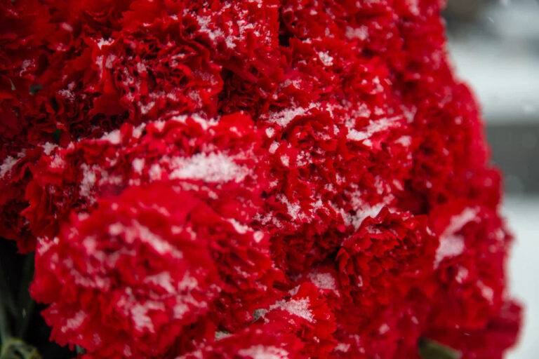    Фото: Общественная Служба Новостей Екатерина Шахнина