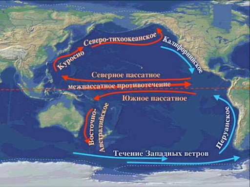 Течение Куросио на карте. Источник: https://severnymayak.ru/2017/04/10/samoe-moshhnoe-techenie-v-mirovom-okeane/