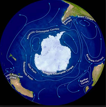 Антарктическое циркумполярное течение. Источник: https://www.krainaz.org/ru/2017-05/263-antarctic6