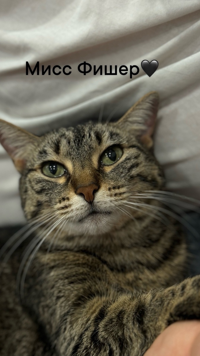 Ну как не фоткать эту красотку? Кааак?