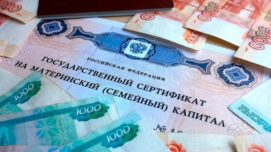    Минтруд выступил против получения образования родителями за счет материнского капитала Андрей Галкин