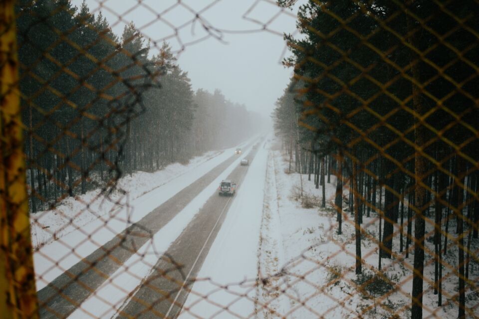    Зима. Мороз. Источник: Анна Меньшикова