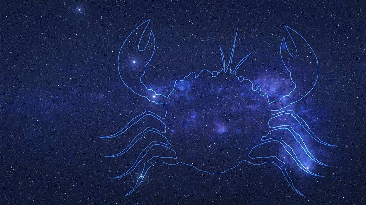    Фото: Shutterstock