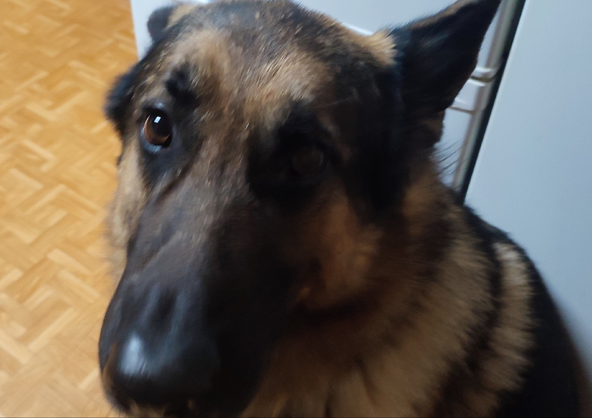 У меня с самого утра маковой росинки во рту не было, а вы тут сидите и едите... 