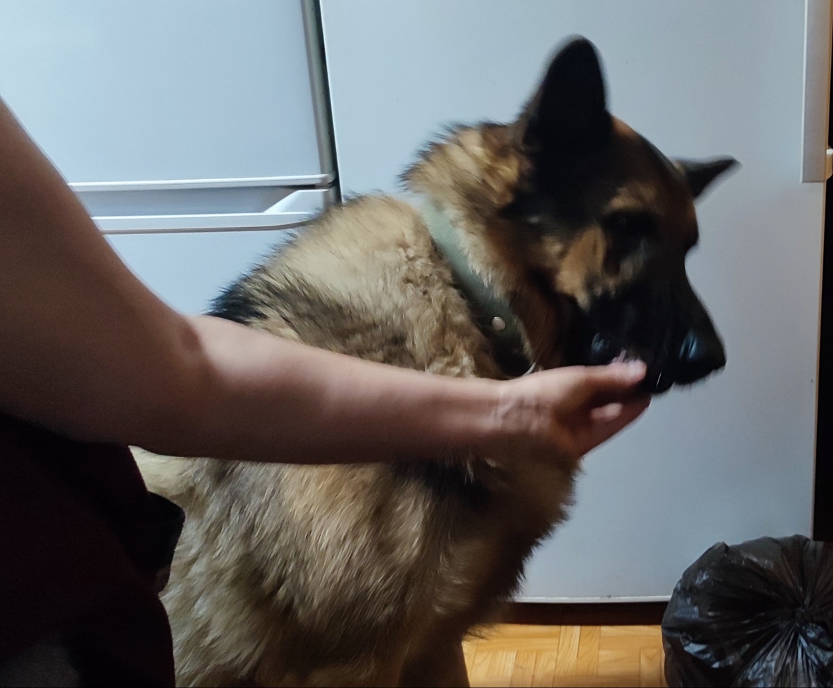 Это чë за гадость вы мне предлагаете !? 