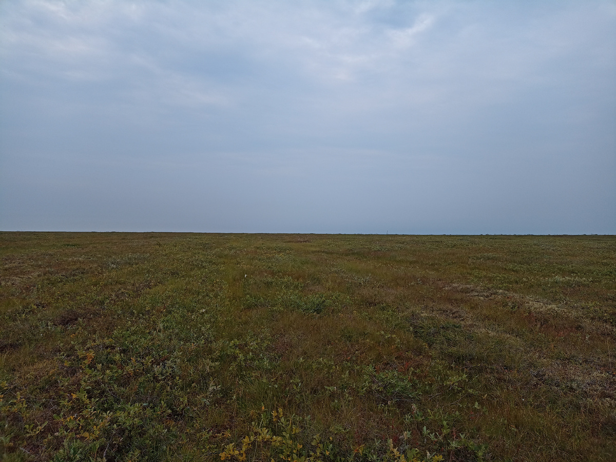 Прямо по курсу "Колба"