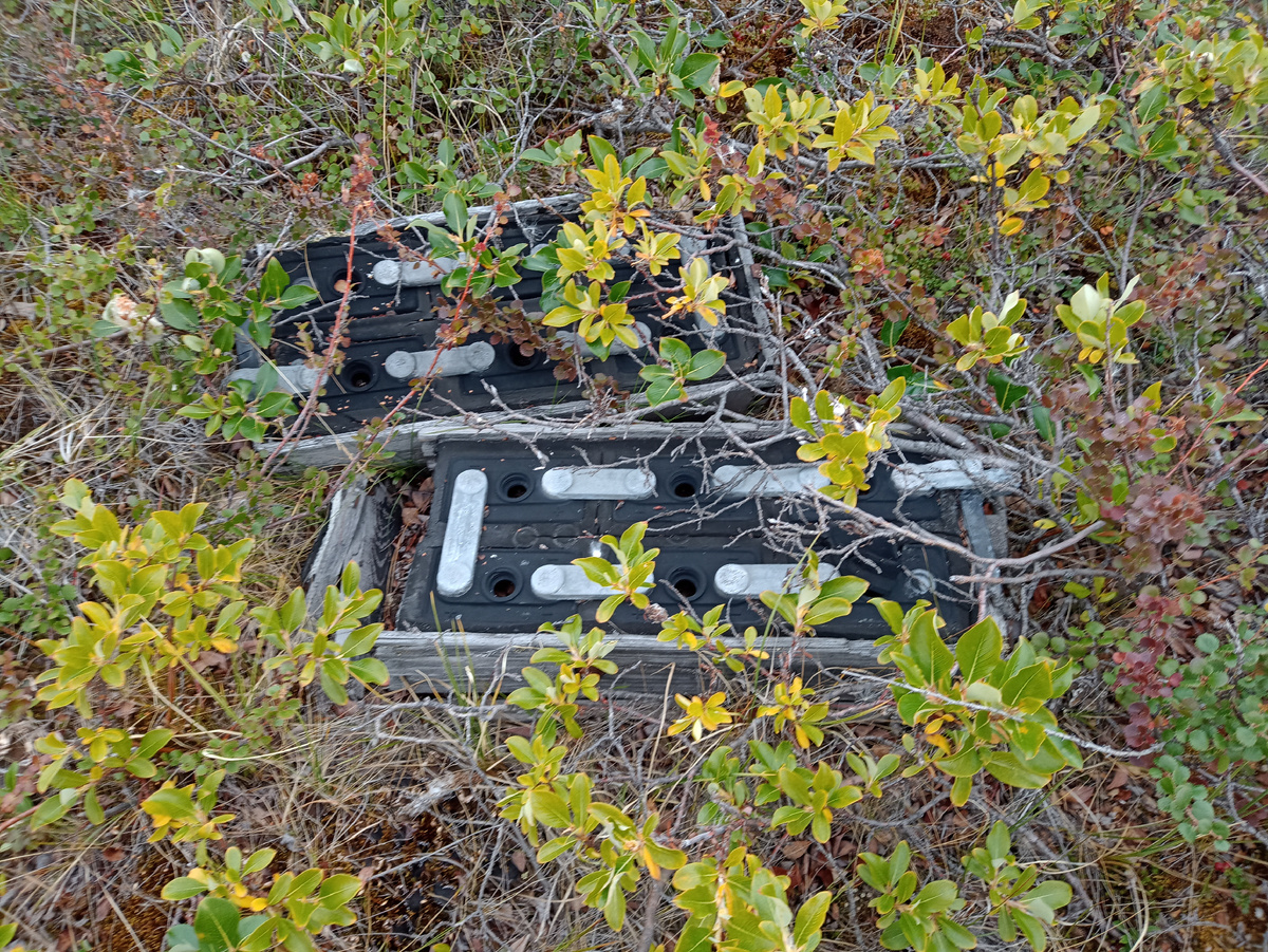Аккумуляторы, только настоящие пацаны знали, что за богаство скрыто в них 