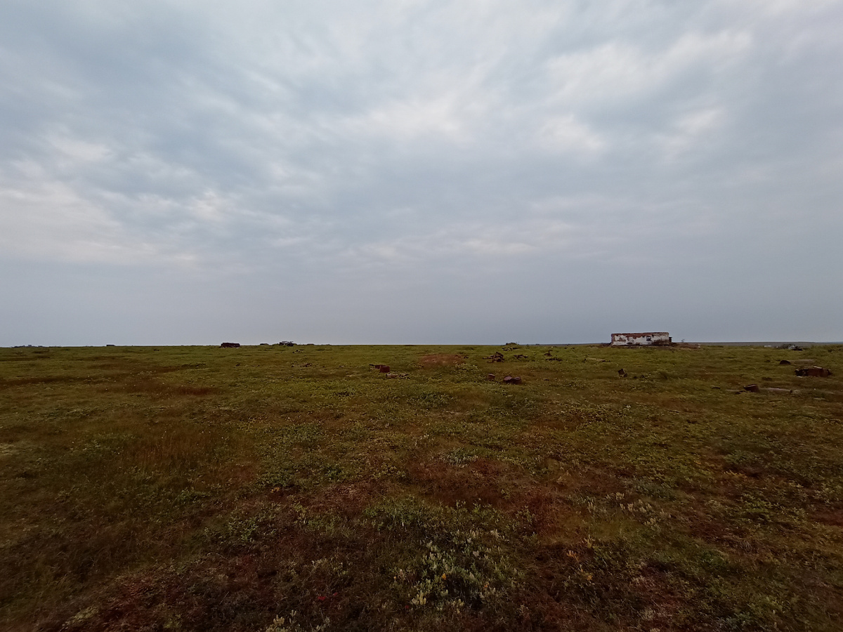 Почти пришли