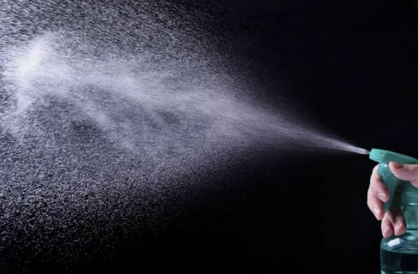 Лапы вверх!