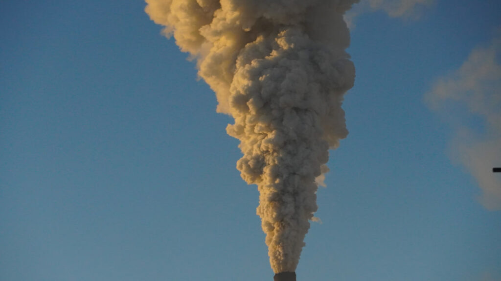    Фото: Амур.инфо