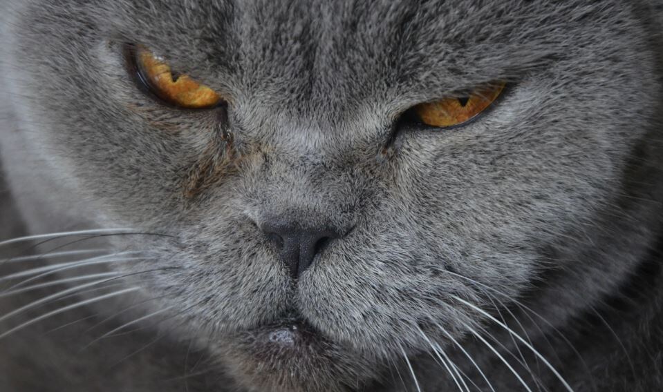 Ты дышишь рядом, но делаешь это без уважения!))