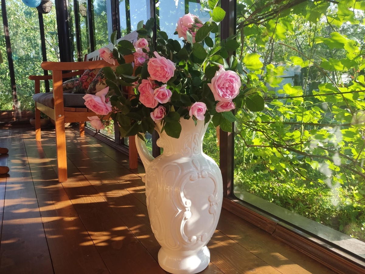 Тот самый шиповник