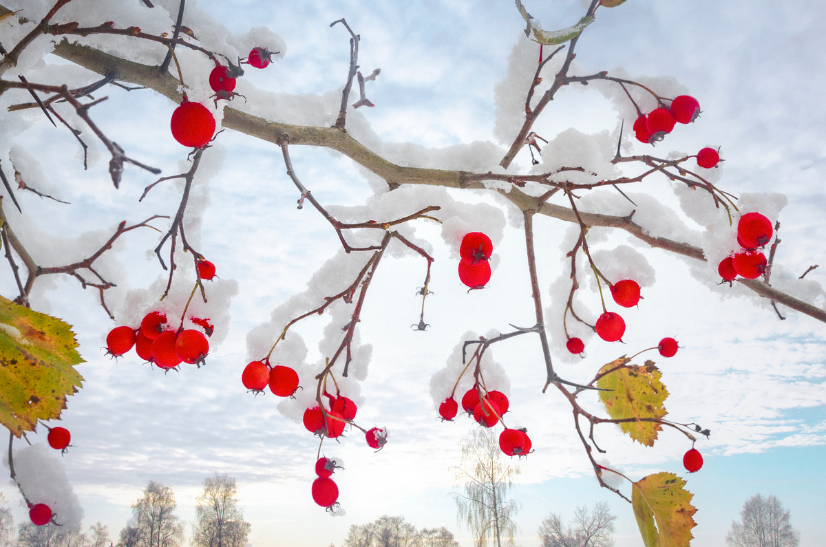 Sergey Metelitsa/Global Look Press
