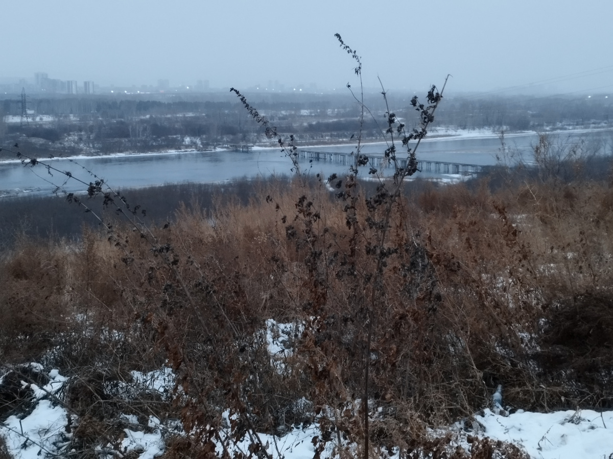 Сегодняшнее утреннее фото.