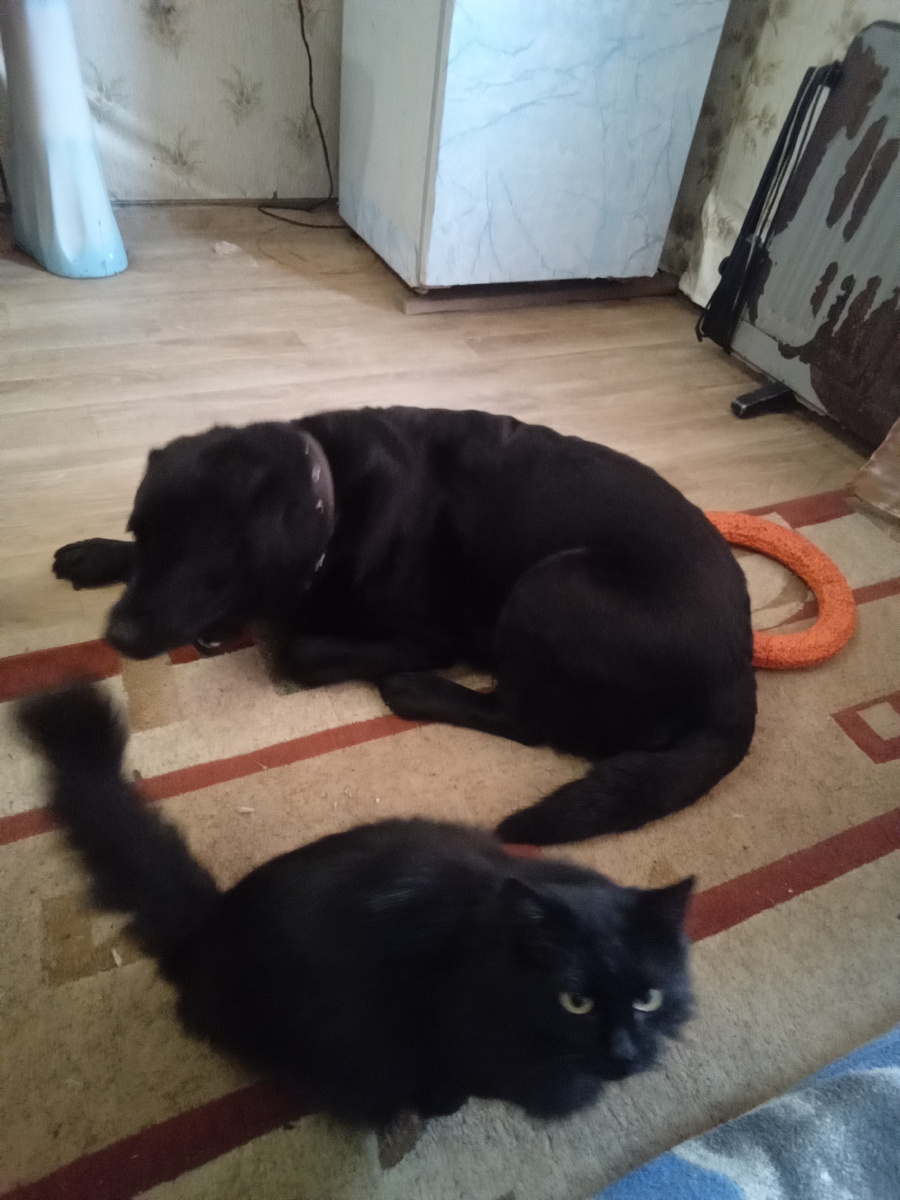 Фото автора.