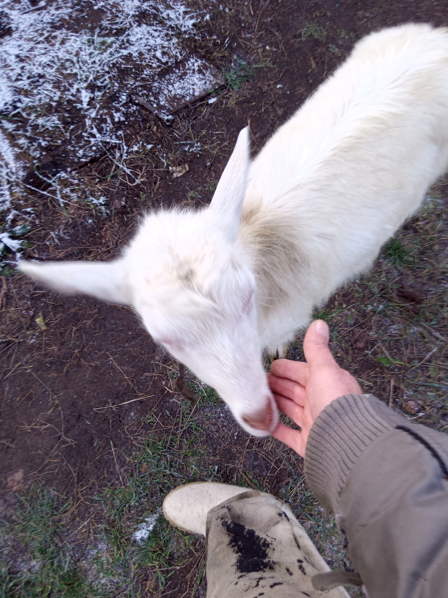 Грязненькая стала. 😢