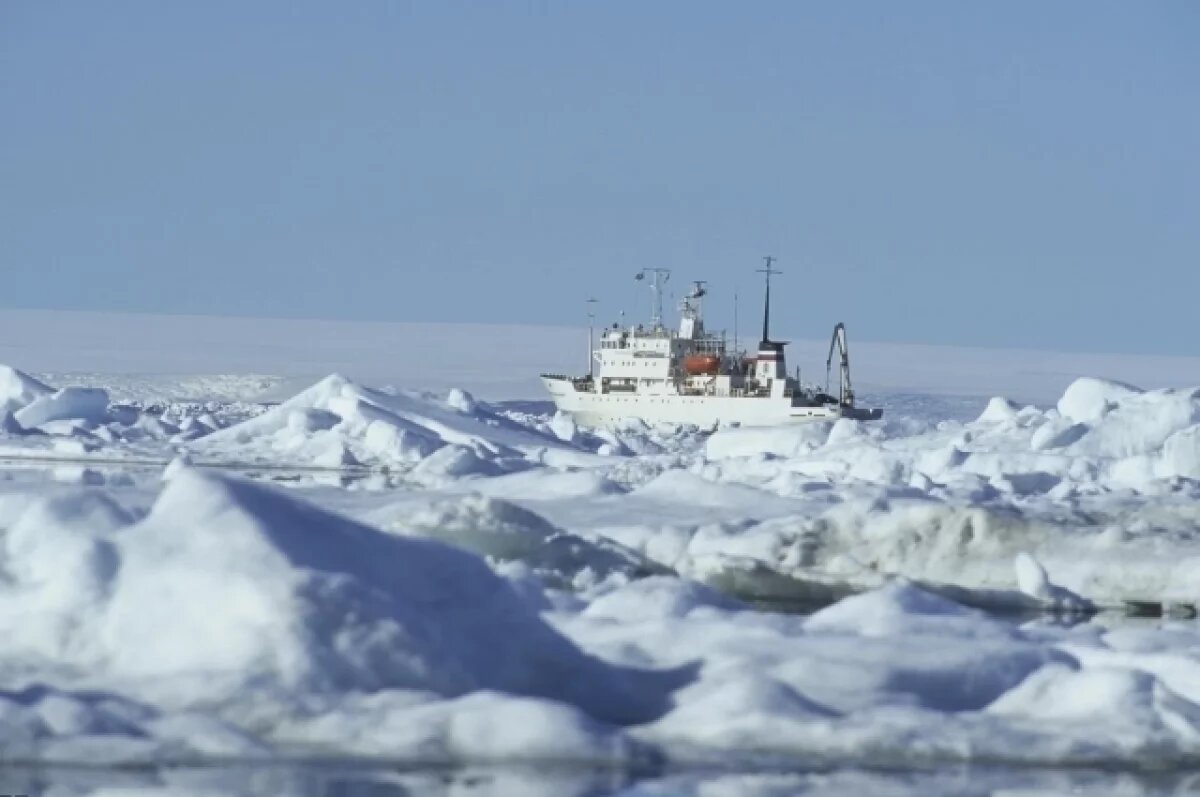    Daily Mail: лед в Арктике может полностью растаять через три года