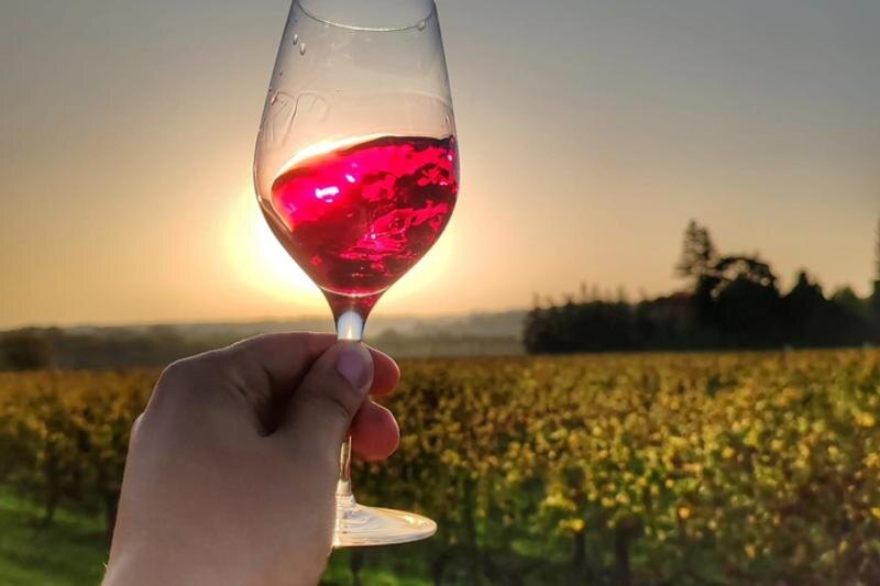    Фото предоставлено Иваном Лазаревым. Сомелье рассказал о трендах виноделия в России и мире