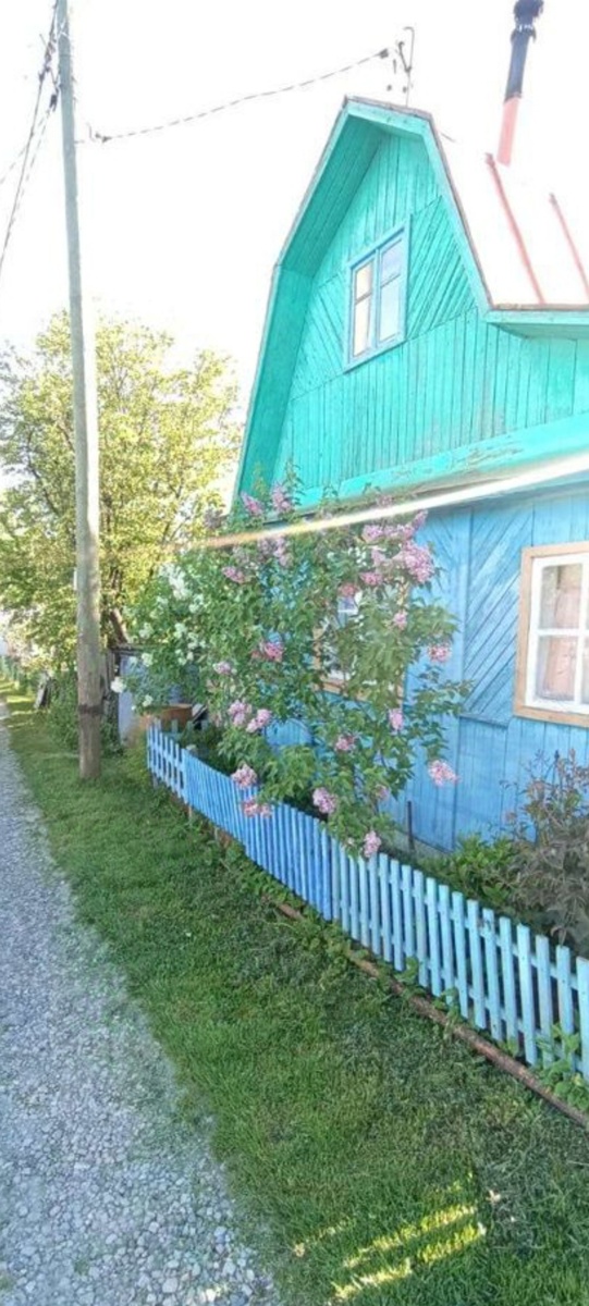 Фото из личного архива. Собственный оазис🌳