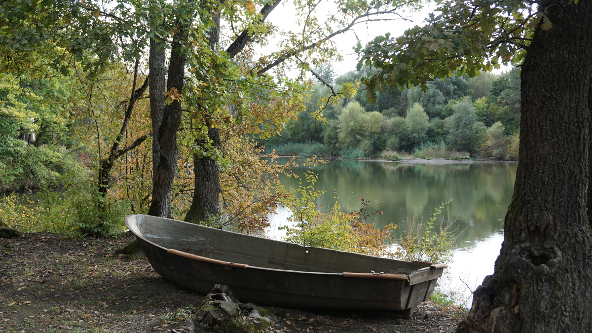 Фото: Елена Яковлева 