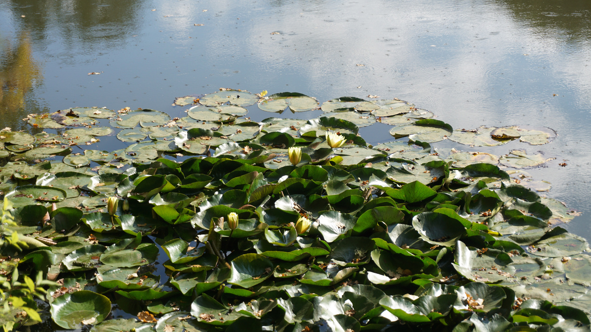 Фото: Елена Яковлева 