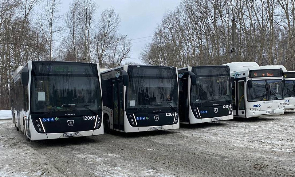 Фото: Екатерина Шамина / Горсайт