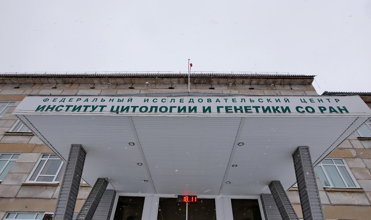 Фото: nsknews.info