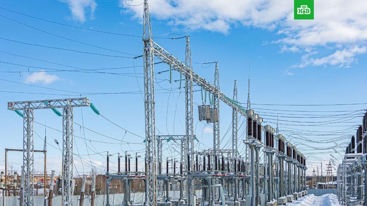    Фото: @drsk_dv / t.me