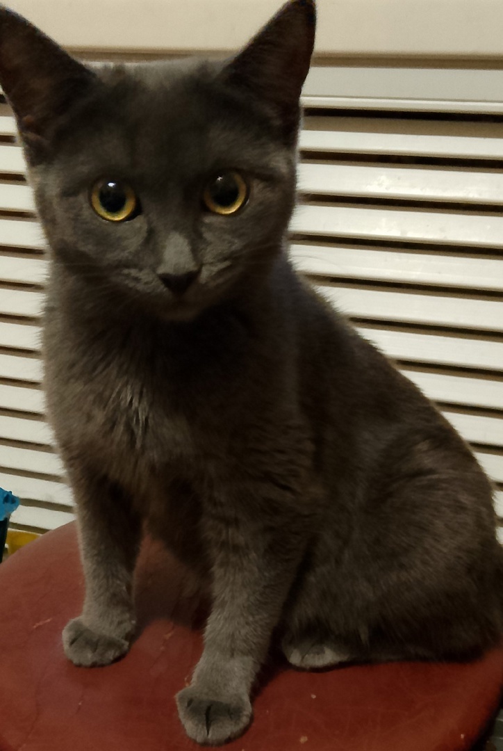 У Каси улучшения. Даже боюсь говорить. Спасибо всем добрым людям за поддержку.