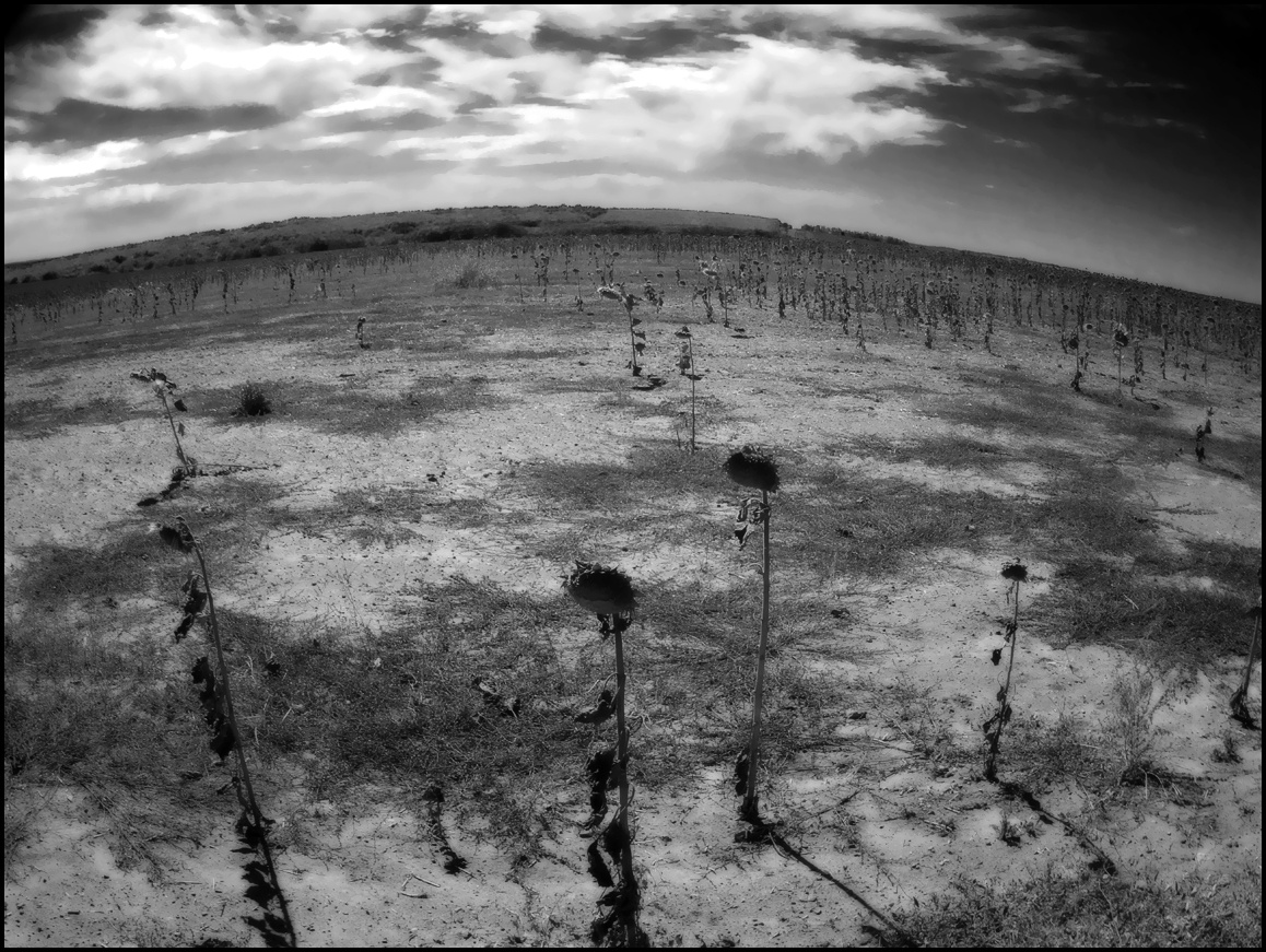 Фото – 90 лет спустя, сентябрь 2024