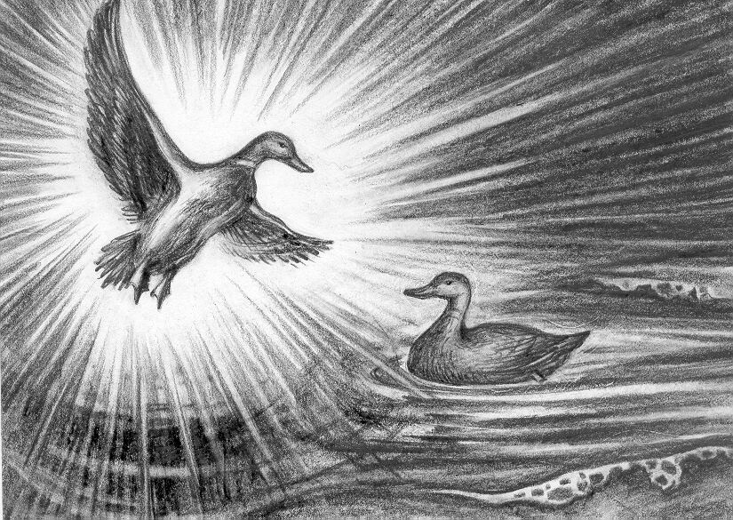 Кугу-Юмо и его брат Йын (Керемет) в образе селезней творят мир

