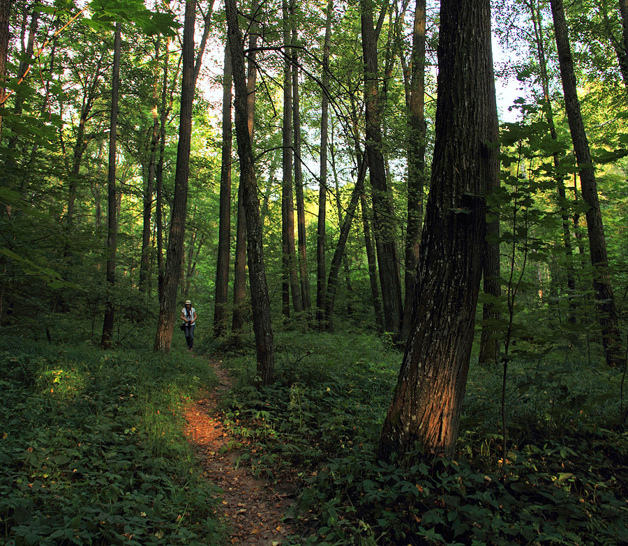 В священной роще Арпынгель. Васильсурск

