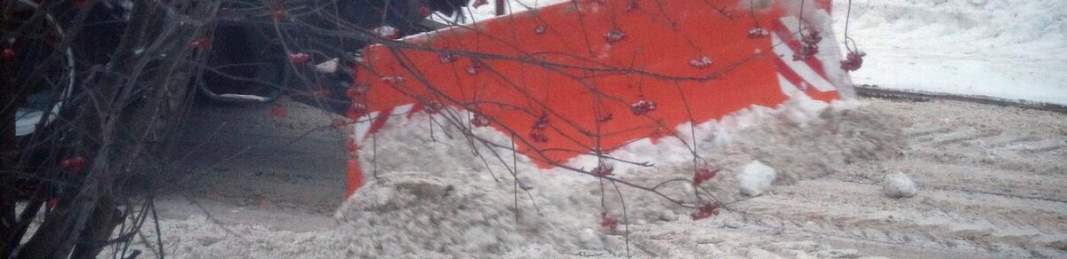    Фото: Сергей Егоров